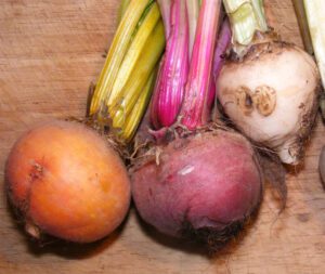 beets, growing beets, how to grow beets, growing beets organically, growing beets organically in home garden, growing beets in home garden, how to start growing beets, guide for growing beets