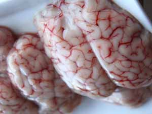 goat brain, goat's brain, how to cook goat brain, goat brain nutrition, is goat brain healthy, is goat brain safe to eat