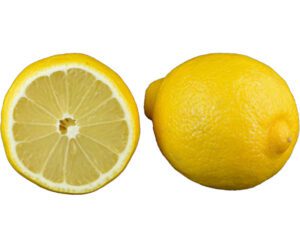 lemon, lemon farming, lemon farming business, how to start lemon farming, commercial lemon farming, lemon farming profits, guide for lemon farming, lemon farming tips, lemon cultivation