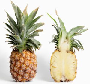 pineapple farming, commercial pineapple farming, pineapple farming business, pineapple farming business plan, profitable pineapple farming, pineapple farming business profits