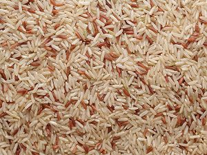 大米，订书钉食品，可持续食品，多功能食品，稻米养殖，稻米生产