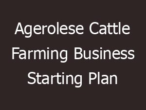 agerolese cattle farming business starting plan 24672